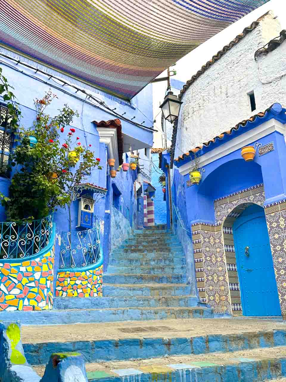 A colourful stairway with a canopy overhead, featuring vibrant tiles and potted plants hanging from walls