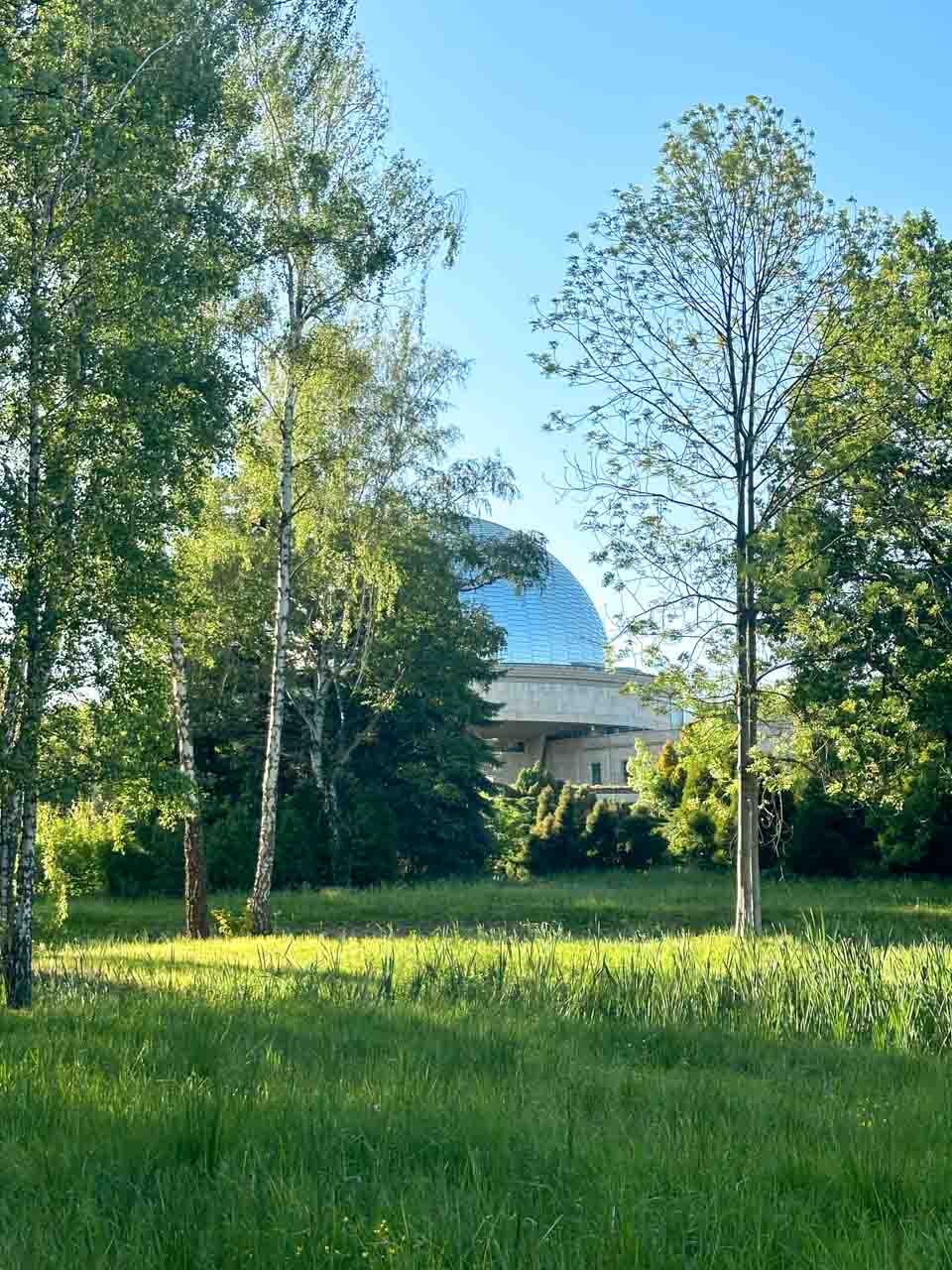 A dome-shaped building of the Silesian Planetarium peeking through the trees, with tall grass in the foreground