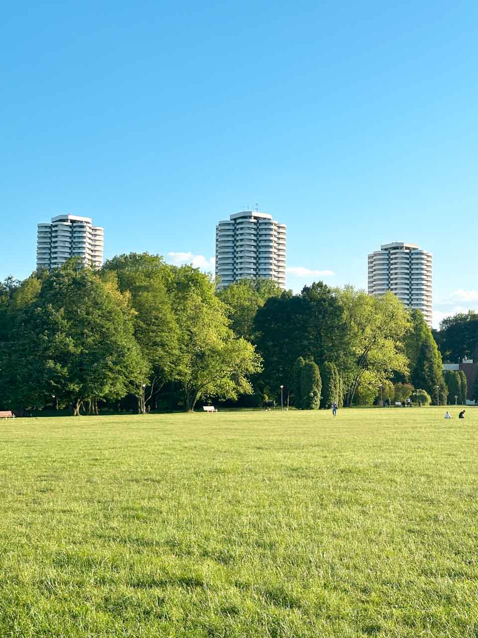 Three tall &ldquo;Kukurydze&rdquo; towers in Katowice rising above trees, named for their corn cob-like shape created by rounded balconies