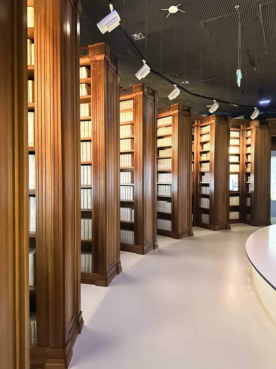 Tall wooden bookshelves filled with identical light-coloured books, curving around a bright modern space inside the Silesian Museum in Katowice, Poland