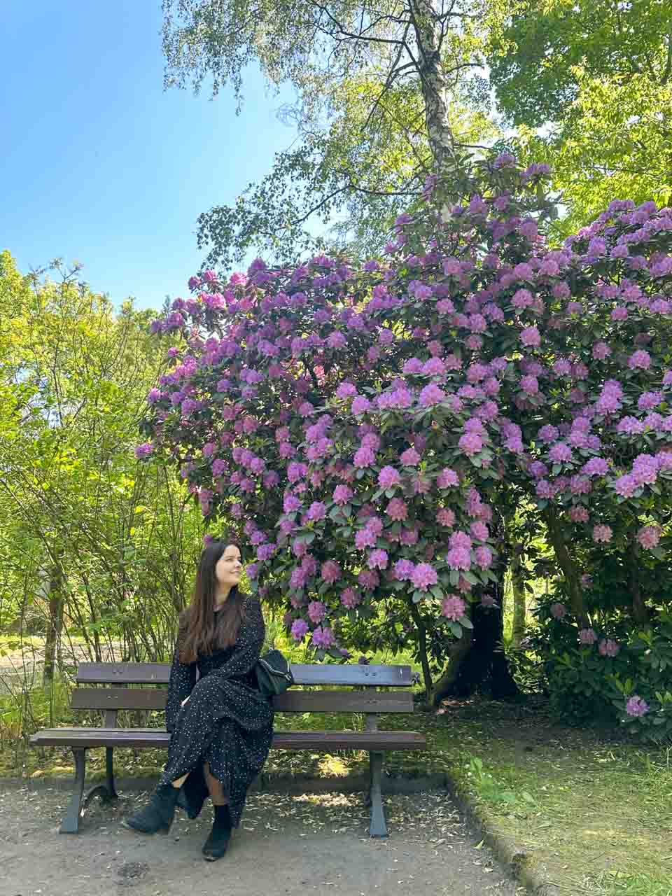 A woman in a black dress sitting on a bench under a large bush blooming with purple flowers
