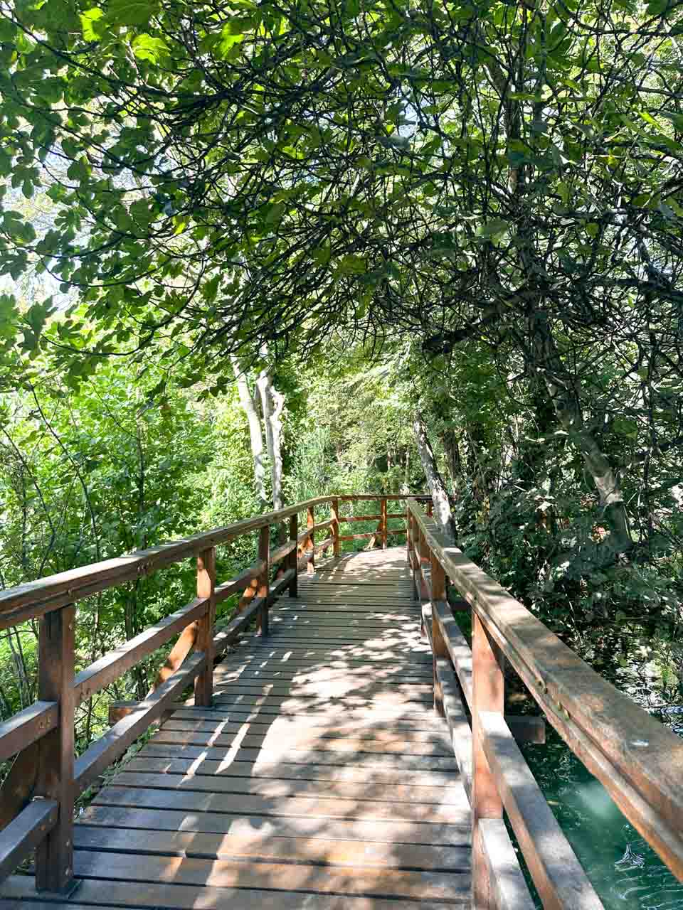 A wooden boardwalk through lush greenery with branches forming a canopy overhead inside Krka National Park