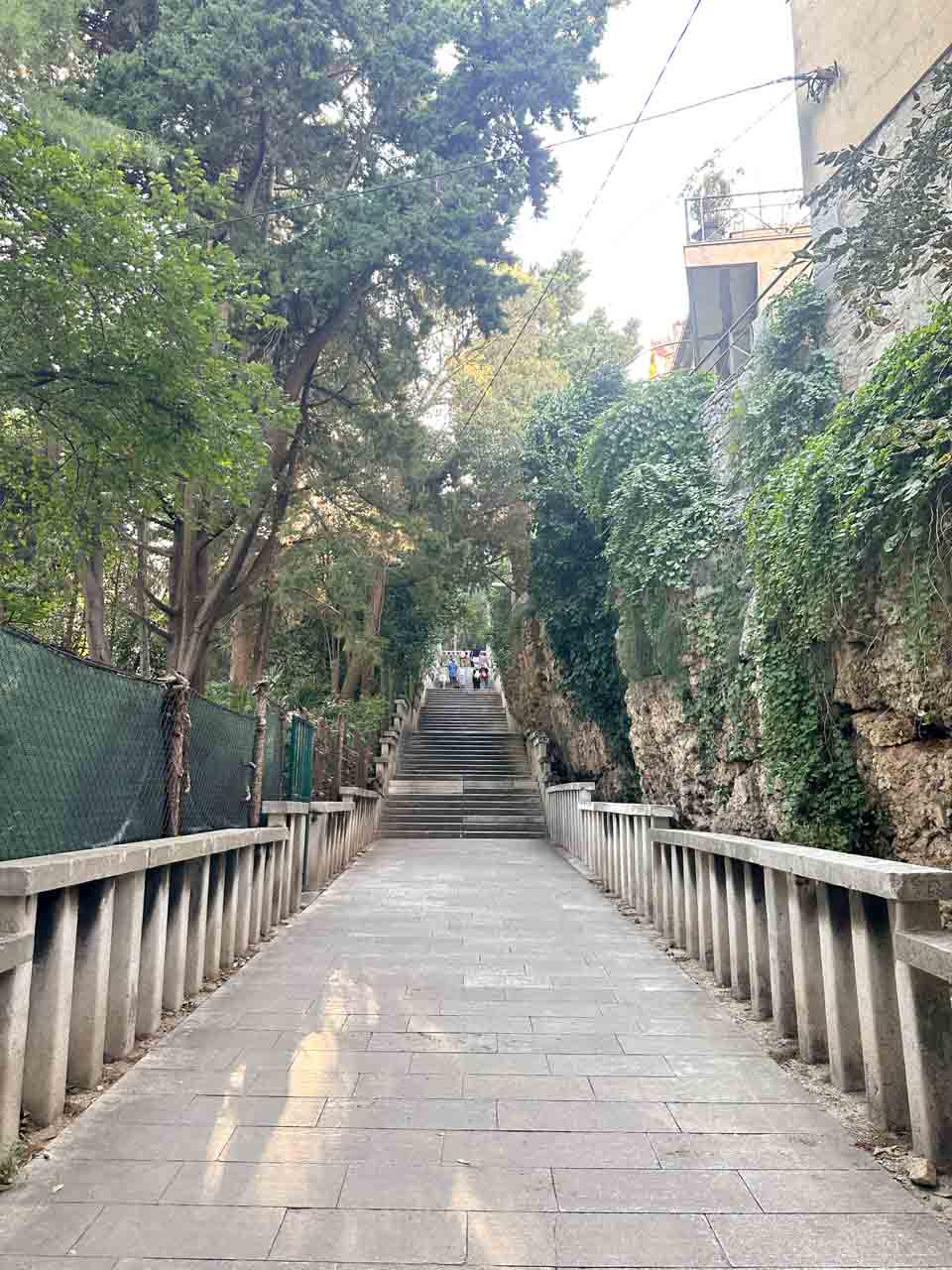 A long stone staircase shaded by tall trees, leading to the top of Marjan Hill in Split, with people walking in the distance