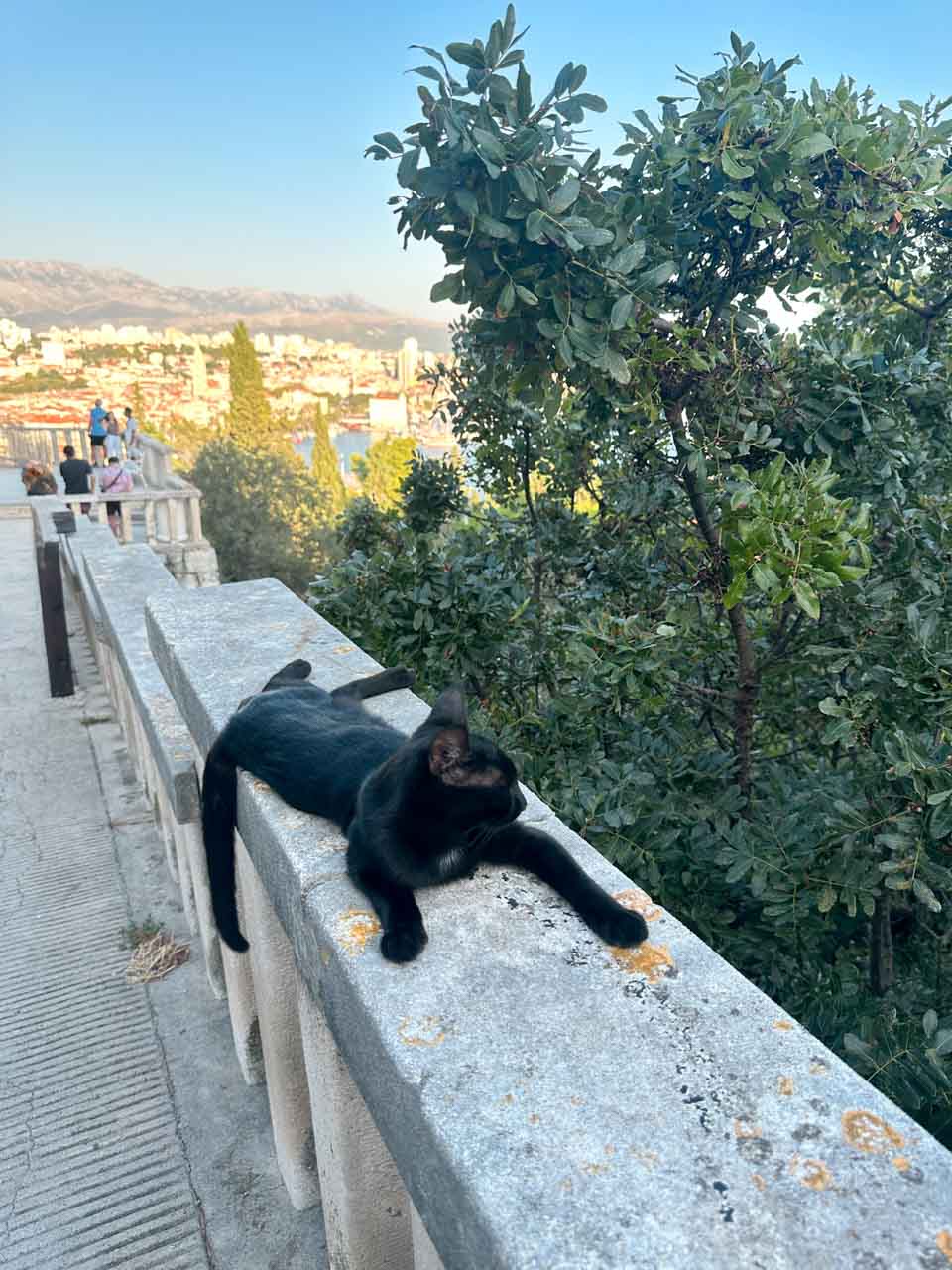 A black cat lounging on a stone railing on Marjan Hill in Split, with the city and mountains in the distance
