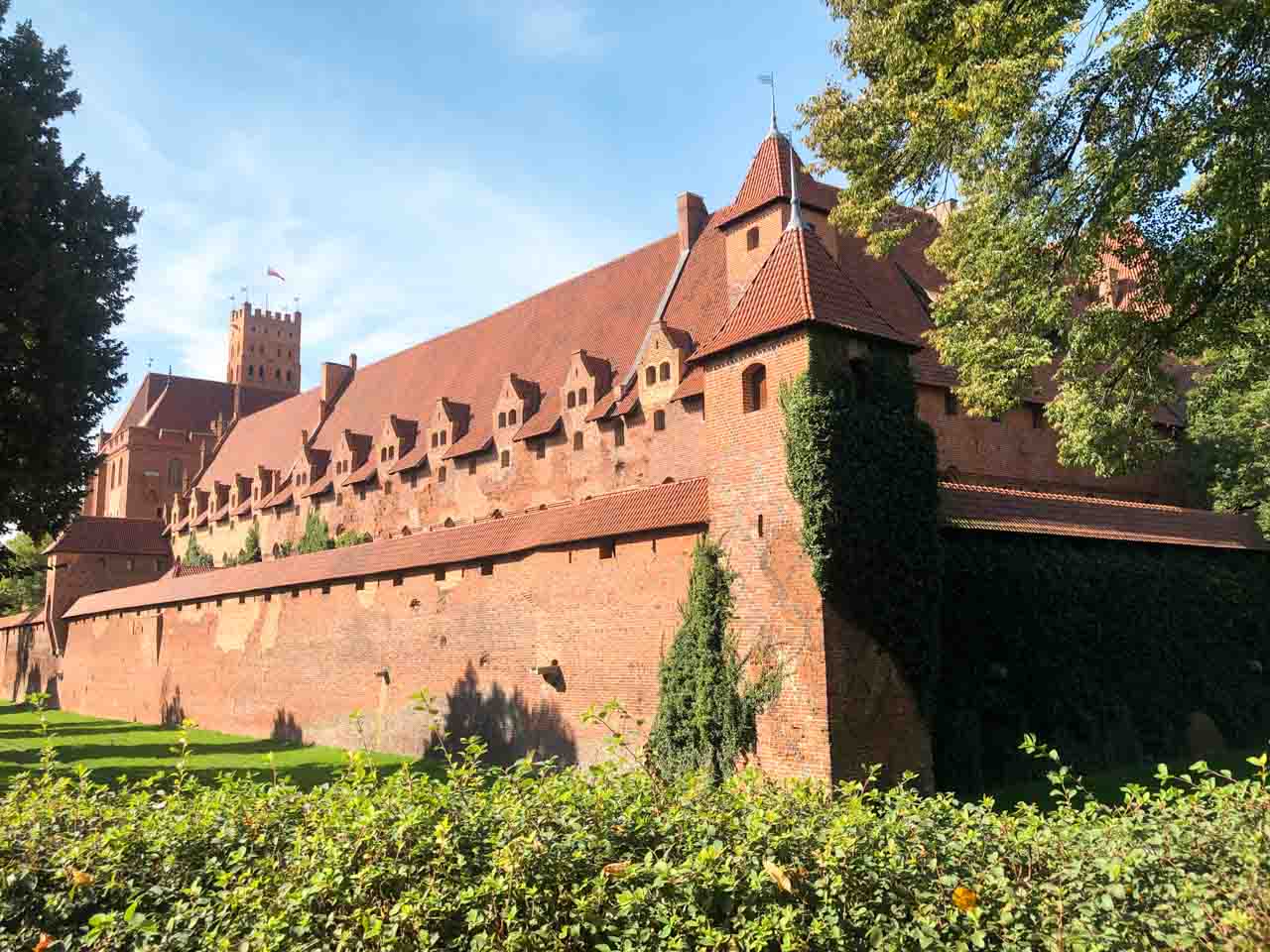 Side view of Malbork Castle with steep red rooftops, ivy climbing the walls and a flag flying from the tower