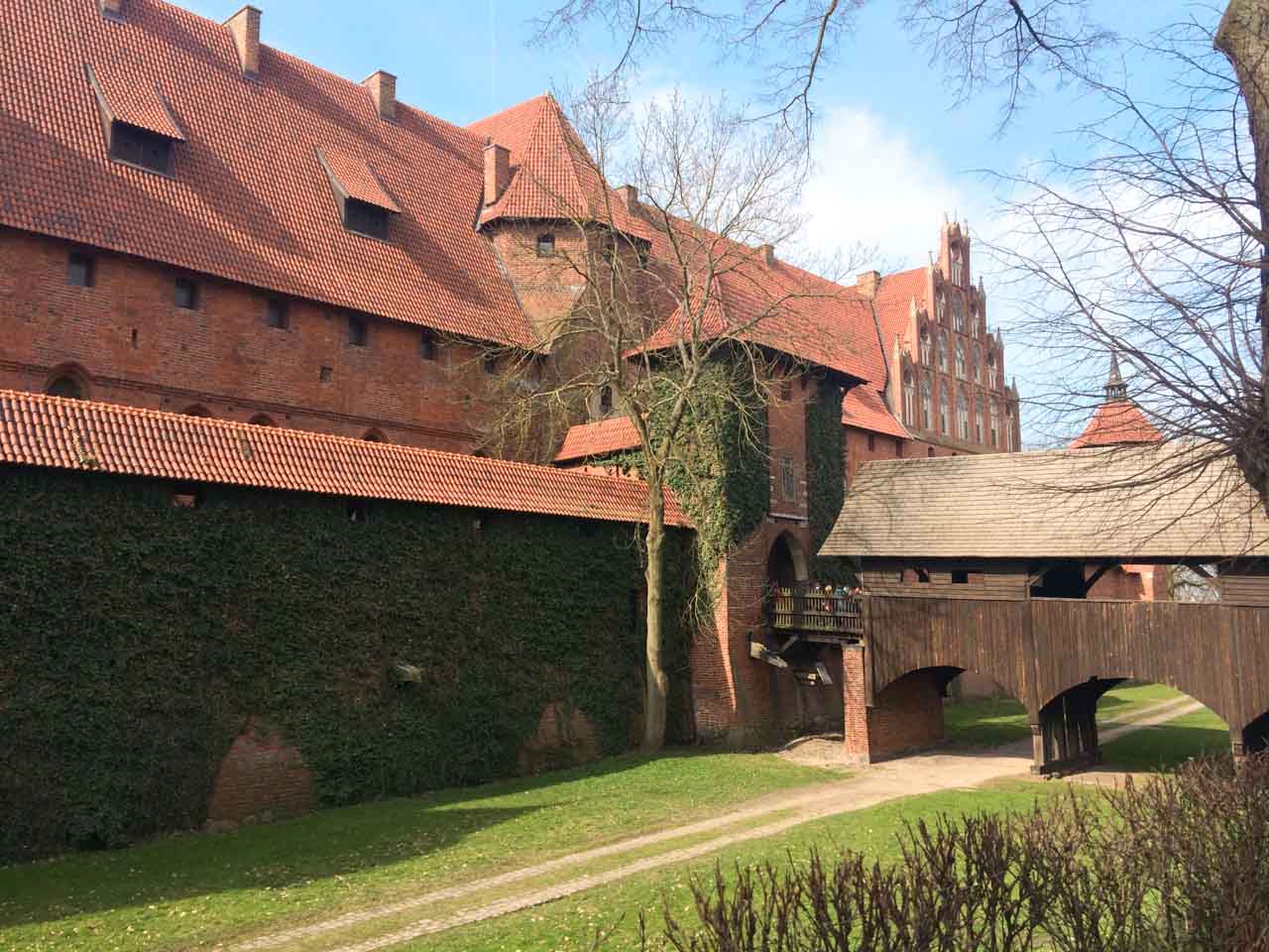 Side view of Malbork Castle with ivy-covered walls and a wooden bridge leading to the entrance