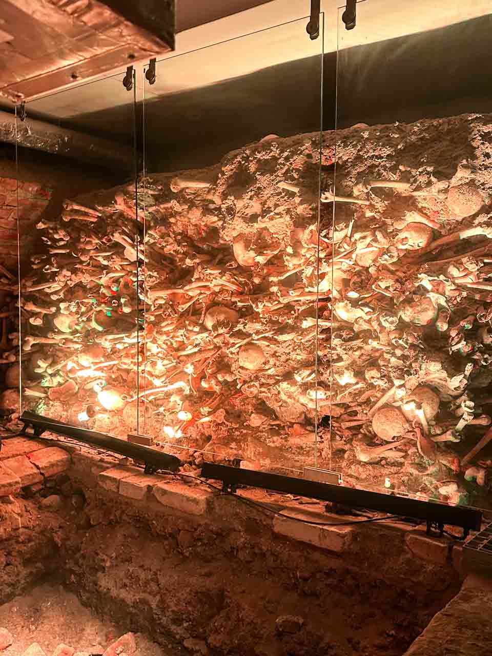 Wall of human bones and skulls behind glass inside the Romanesque Cellar in Gdańsk, Poland