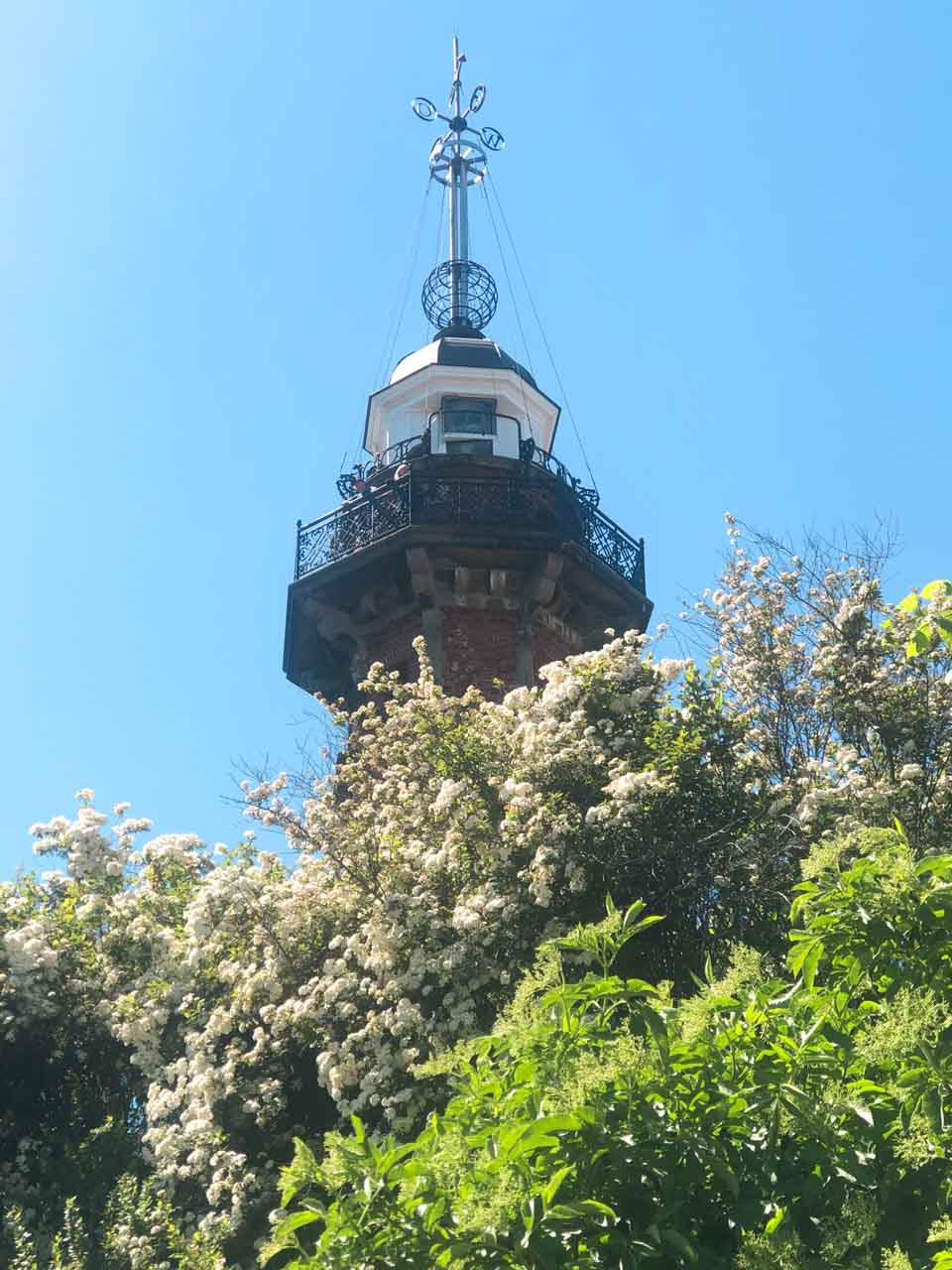 The red brick lighthouse at Nowy Port in Gdańsk, framed by blooming white flowers and green leaves
