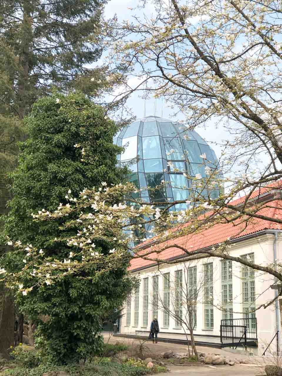 Spring trees in bloom outside the palm house in Oliwa Park