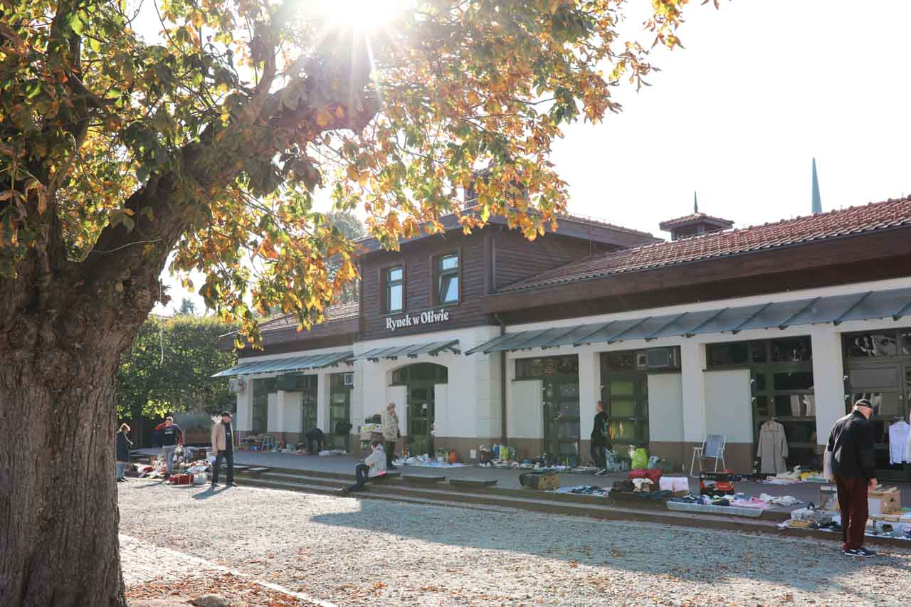 Outdoor flea market in Gdańsk Oliwa with stalls set up under autumn trees in the sun