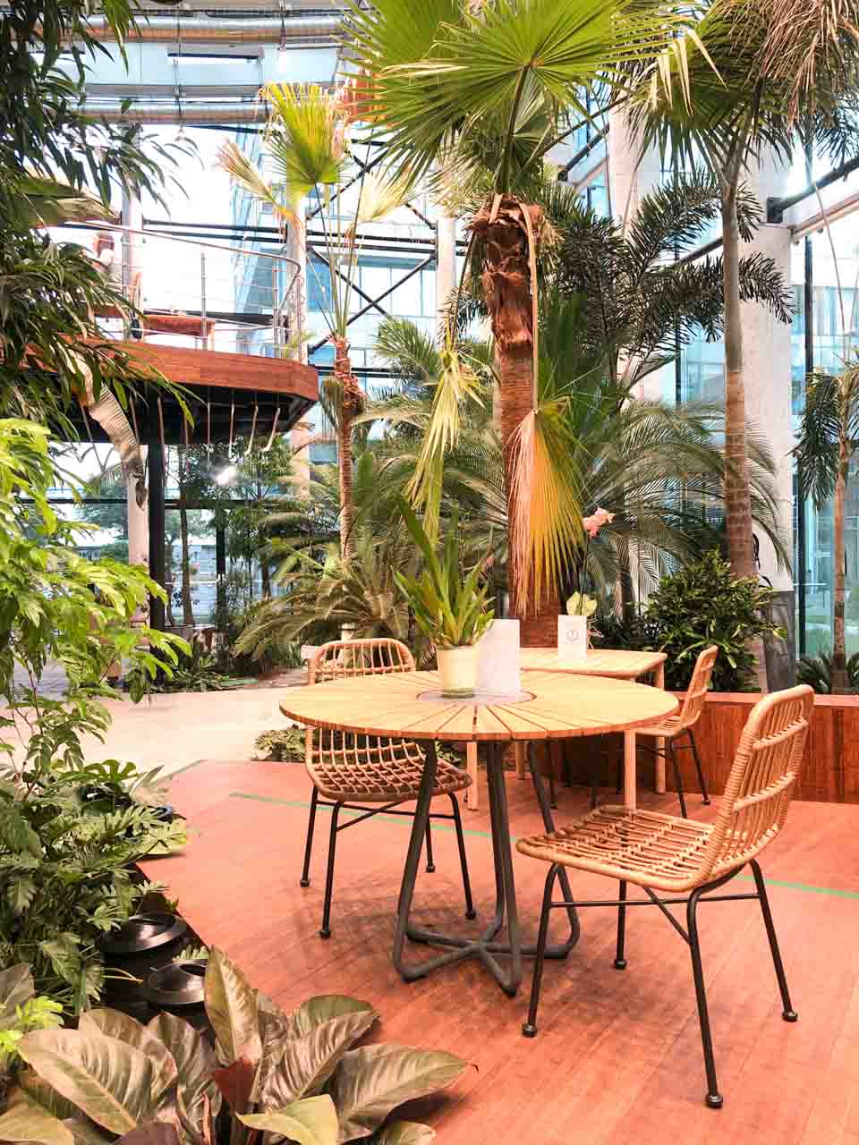 Wooden café table and chairs surrounded by tropical plants in the middle of an indoor jungle setting