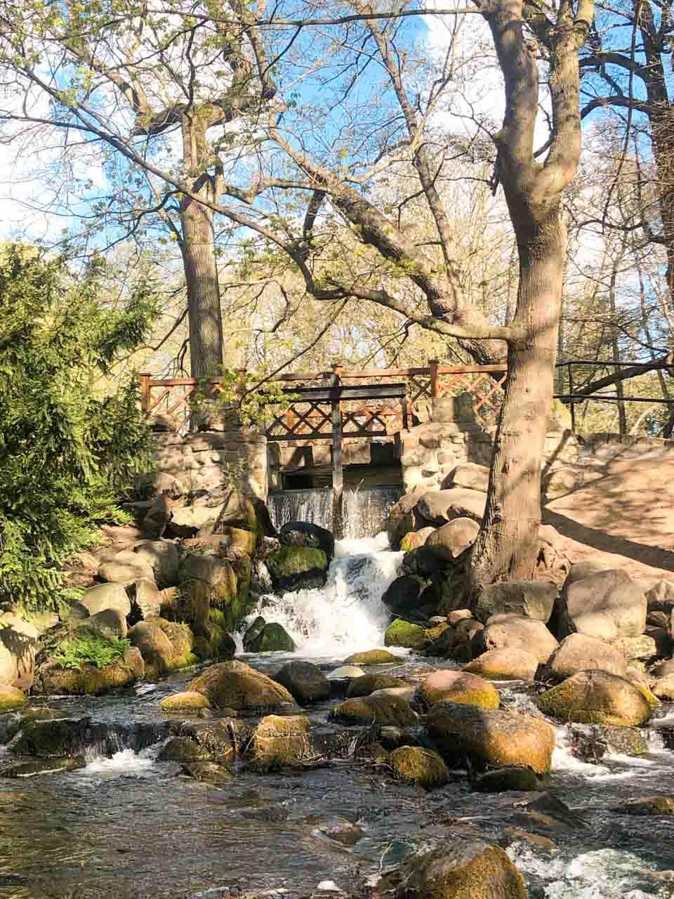 Small waterfall flowing over mossy rocks in Oliwa Park, framed by trees and a wooden bridge