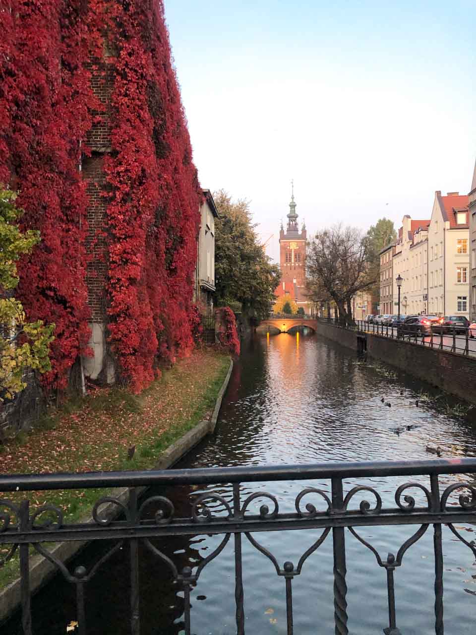 View of St. Catherine’s Church from a canal bridge, with ivy-covered walls glowing red in autumn