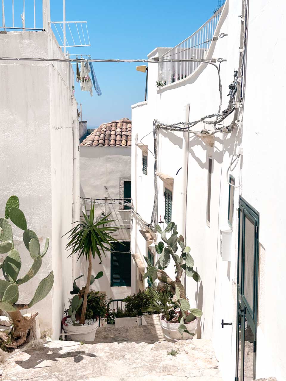 Narrow whitewashed alley with cacti, plants, and laundry hanging in Ostuni, Italy
