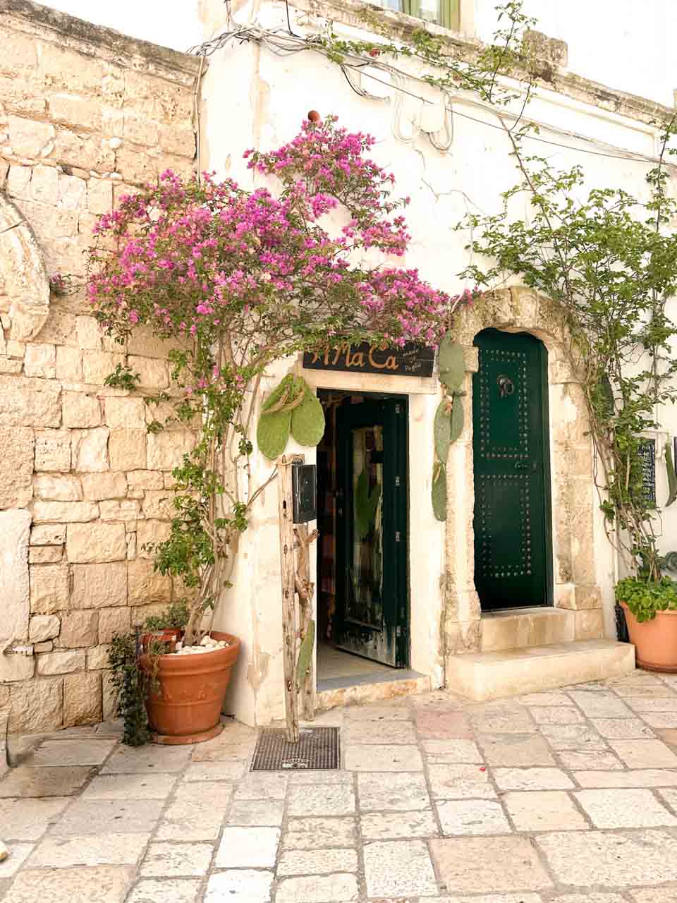 Small shop entrance with a green door and flowering plants in Polignano a Mare old town