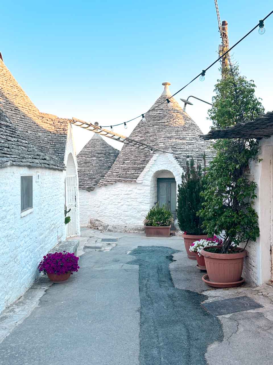 Quiet corner with white trulli houses and potted plants along a narrow street in Alberobello, Italy
