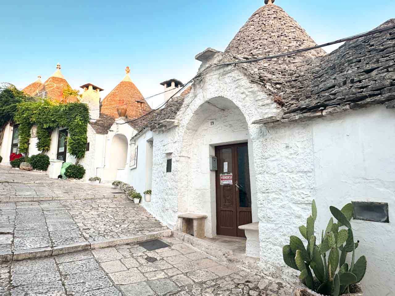White trulli houses along a sloping street with cactus plants in Alberobello, Italy