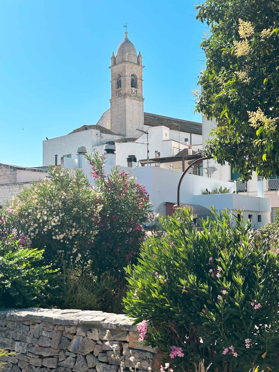 Bell tower rising above whitewashed buildings and gardens in Alberobello