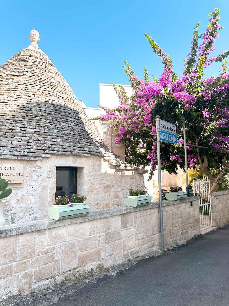 Trullo house and bright pink bougainvillea on a quiet street in Alberobello