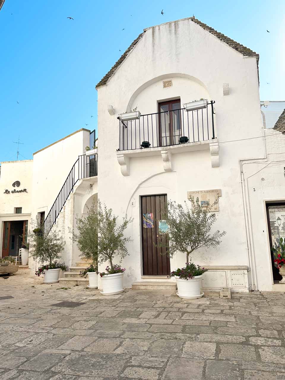 White house with a balcony, wooden door, and potted olive trees in Alberobello