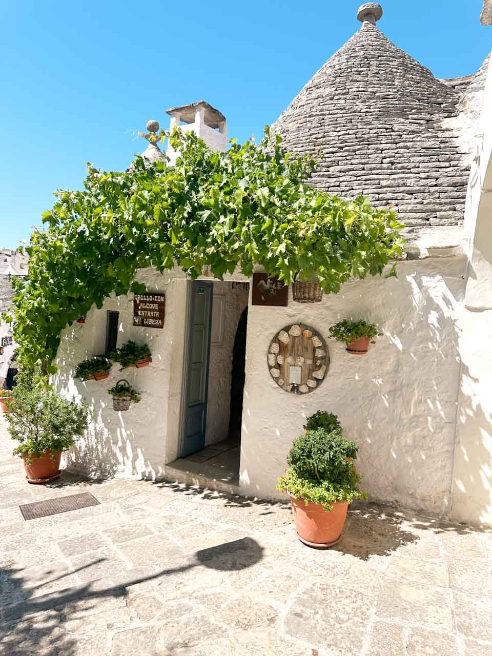 Whitewashed trullo house with a vine-covered entrance and potted plants in Alberobello