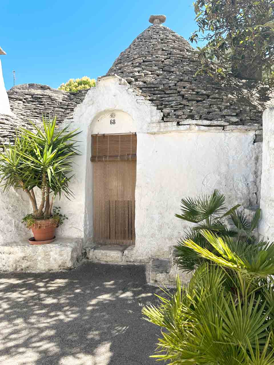 Traditional trullo house with a bamboo door curtain and potted palms in Alberobello