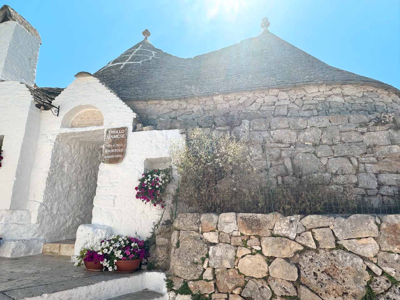 Entrance to Trullo Siamese with colourful flower pots and whitewashed stone walls in Alberobello