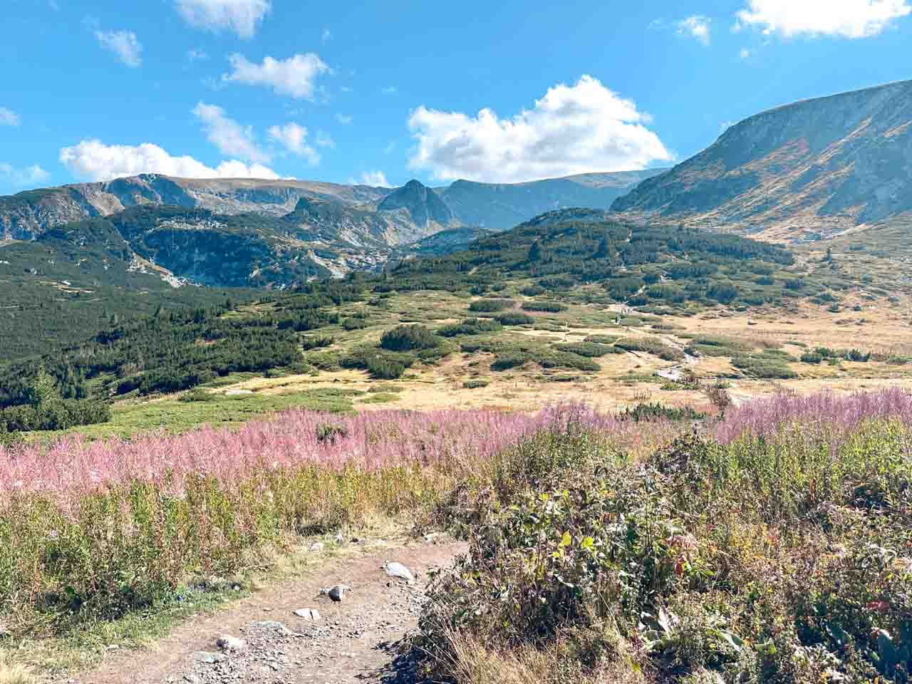 Mountain landscape and wildflowers in the Rila Mountains, Bulgaria