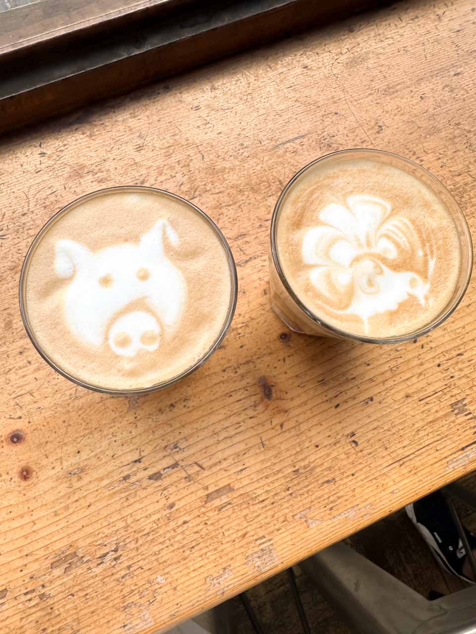 Two coffees with playful animal latte art at Rainbow Factory in Sofia